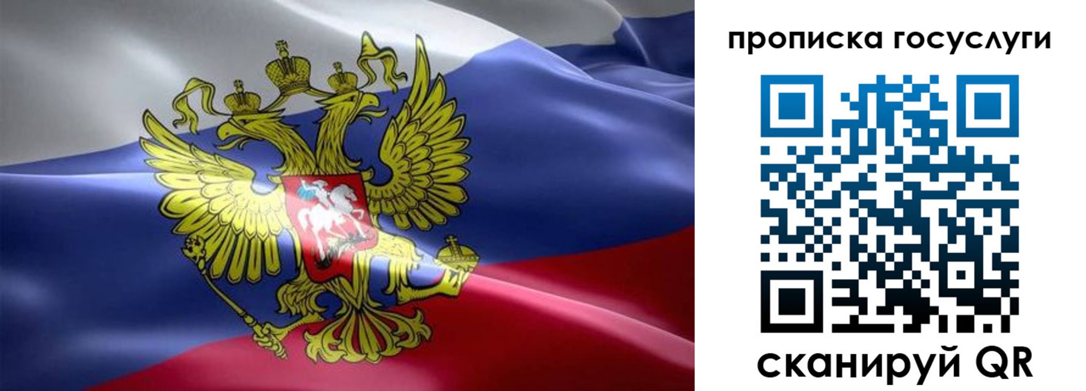 прописка законно в Ярославской области